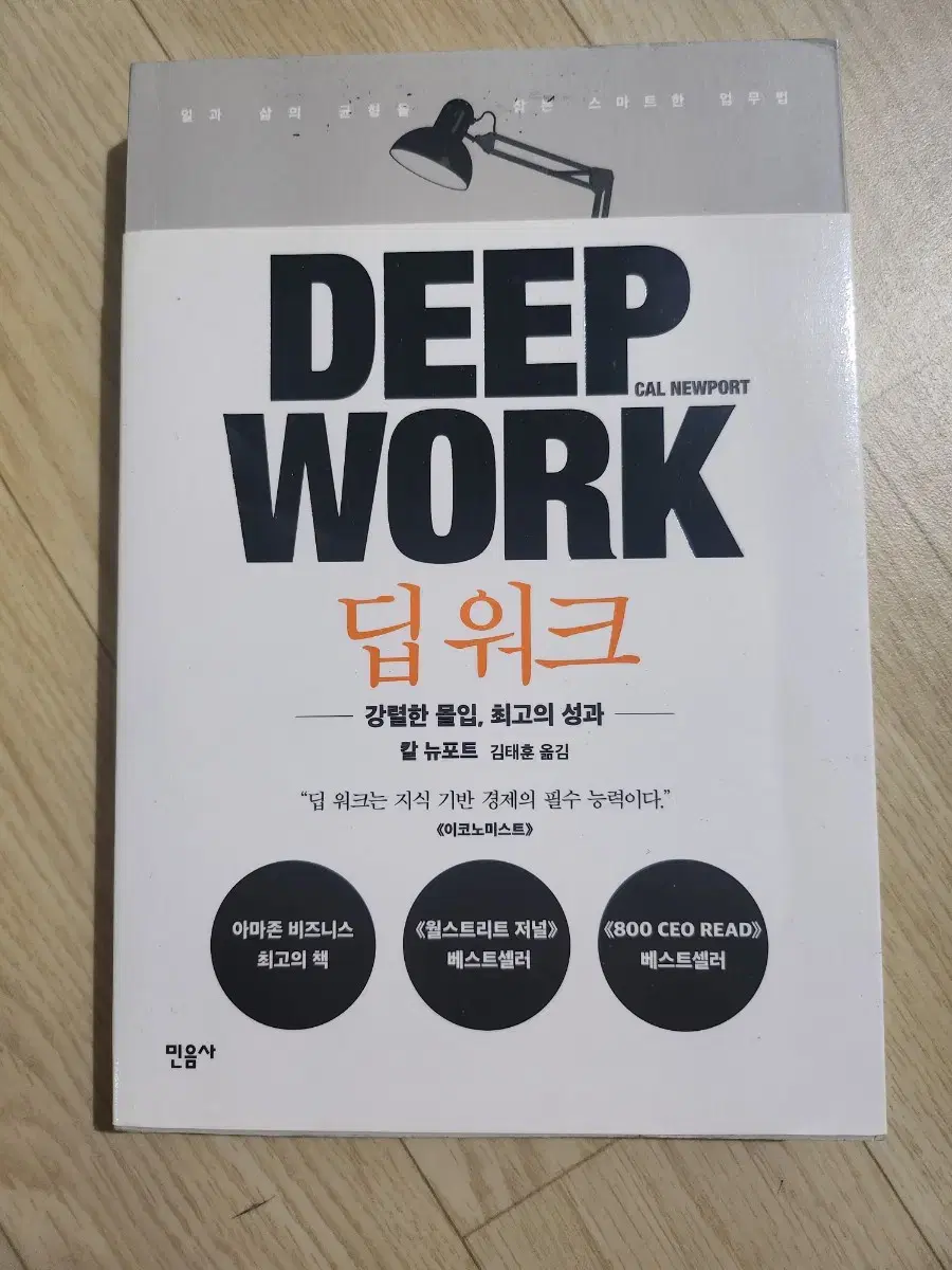 딥 워크 deep work